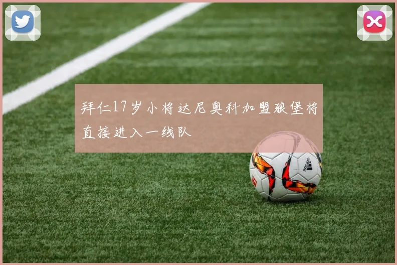 拜仁17岁小将达尼奥科加盟狼堡将直接进入一线队